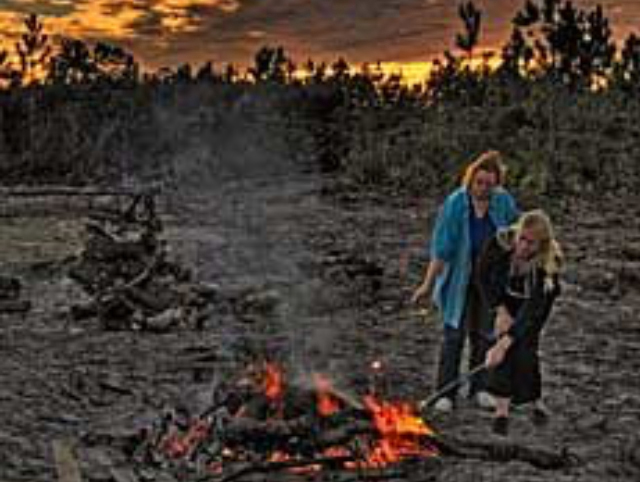 Campsite at a Chiefland-area state park
